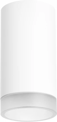 Точечный светильник накладной Lightstar Rullo R4363437 (220V, круглые)