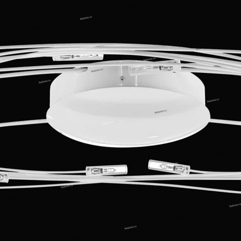 Потолочная люстра Lightstar Ovale 784246