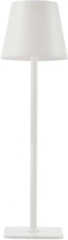 Настольная лампа с аккумулятором F-Promo Pyari 4614-1T (LED, 220V)