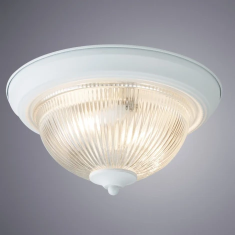 Потолочный светильник Arte Lamp Aqua-plate A9370PL-2WH