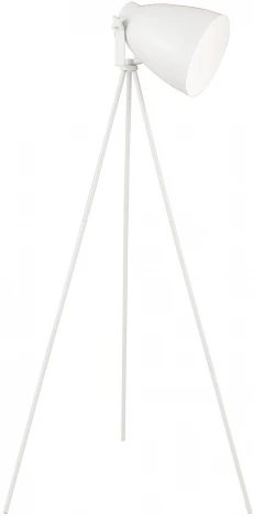 Торшер Arte Lamp Studio A8606PN-1WH