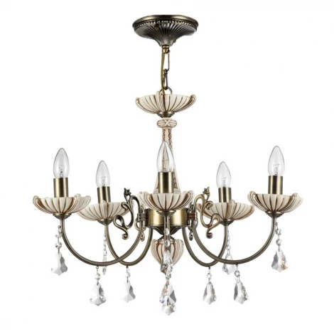 Потолочная люстра Maytoni Shell CL0014-05-R