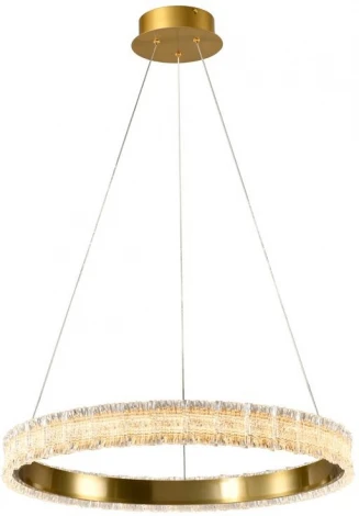 Подвесной светильник Alfa Light F3924-09 (LED, 220V, на тросе, кольцо)