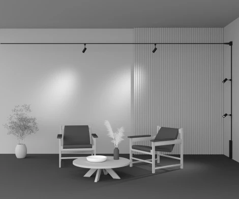 Трековый светильник Maytoni Elasity Focus Led TR163-1-10W3K-M-B (48V, круглые)