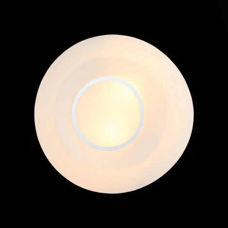 Настенно-потолочный светильник ST Luce Botone SL467.502.02