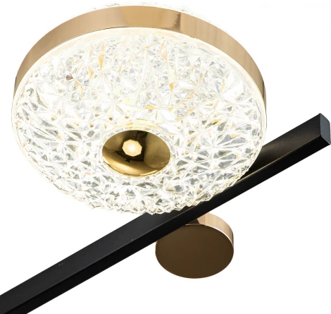 Потолочная люстра Divita 10219/6 LED*78W Black/Gold