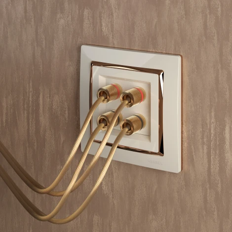 Акустическая розетка (слоновая кость) Werkel W1185003 (a051468)