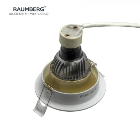 Встраиваемый светильник Raumberg DIP MR White/Gold