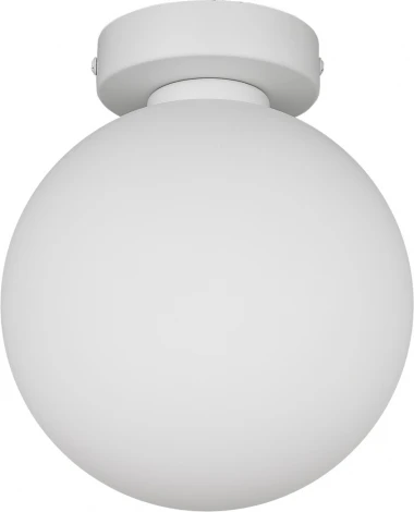 Настенно-потолочный светильник 33 Идеи WLL105.17WH-S32WH (220V, шар)