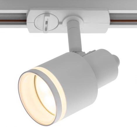 Трековый светильник однофазный 12W 220V Citilux Bruno CL565T10 (круглые)