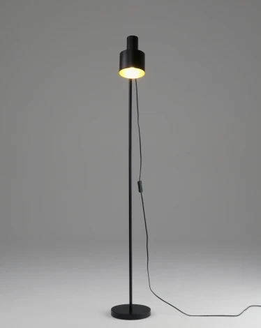 Торшер с выключателем Moderli Artis V11267-1F (220V)