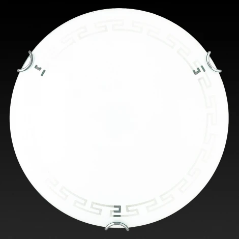 Настенно-потолочный светильник Toplight Maude TL9161Y-01WH