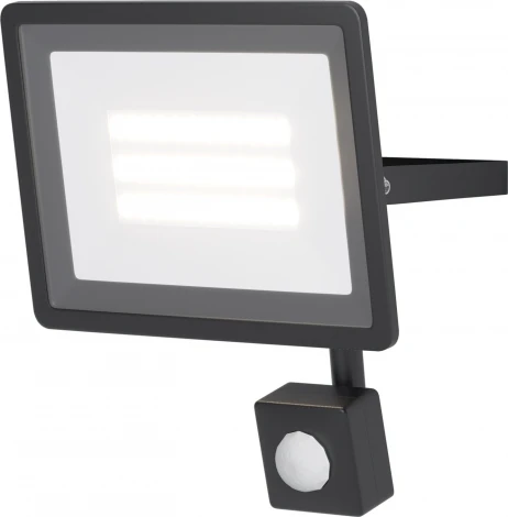 Прожектор уличный светодиодный с датчиком движения Maytoni Flood FL001-L30B6KSR (220V, IP65)