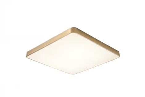 Потолочный светильник Zortes Monna ZRS.1209.07 (LED, 220V)