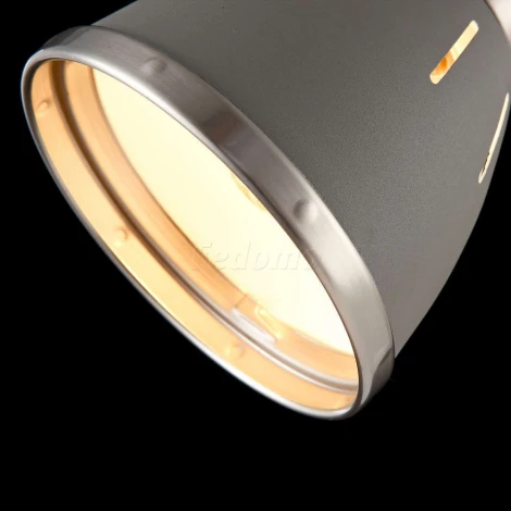 Офисная настольная лампа Freya Nina FR5151-TL-01-GR