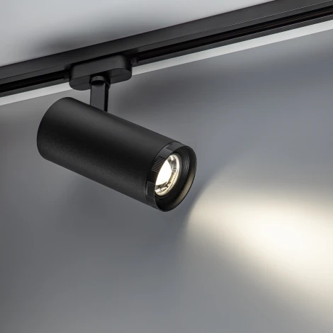 Трековый светильник однофазный 220V Ritter Artline 59742 5