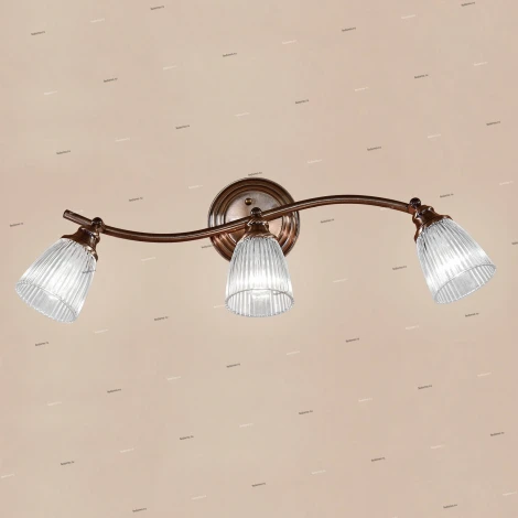 Спот Citilux Виндзор CL539531