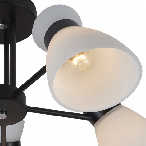 Потолочная люстра на штанге Reluce 01416-0.3-05 BK+CR