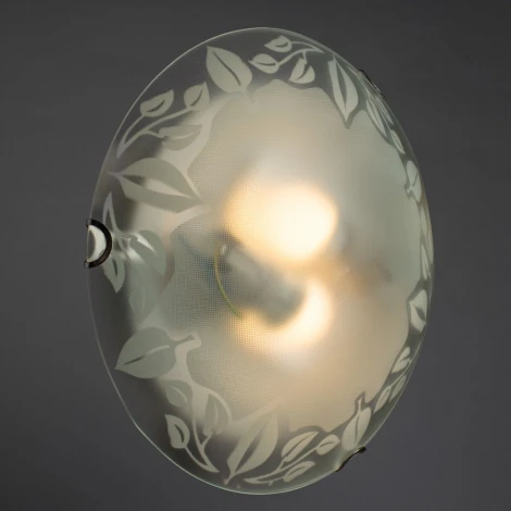 Настенно-потолочный светильник Arte Lamp Leaves A4020PL-2CC