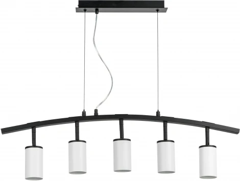 Подвесной светильник Rullo LR735365 (571735+214436-5) (220V, на тросе)
