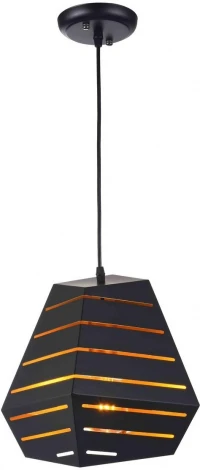 Подвесной светильник Alfa Light F3524-40 (220V, на проводе)