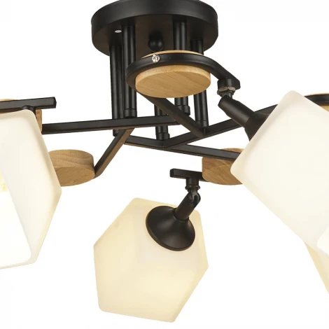 Потолочная люстра Wedo Light Ivetta 66582.01.14.05