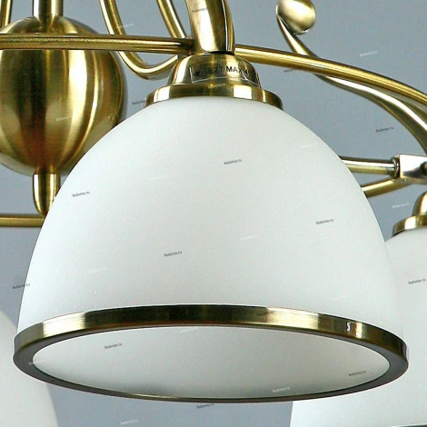 Brizzi Almeria MA02401CB/004 Bronze