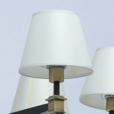 Потолочная люстра MW-Light ДельРей 700013306