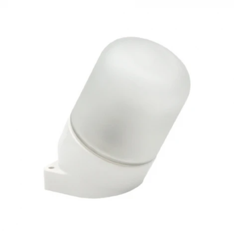 Настенно-потолочный светильник Feron НББ 01-60-102 53165