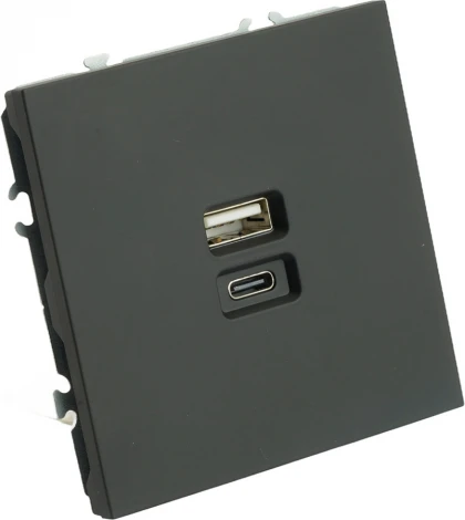 Розетка USB Type A+С (черный) Stekker Эмили 49853