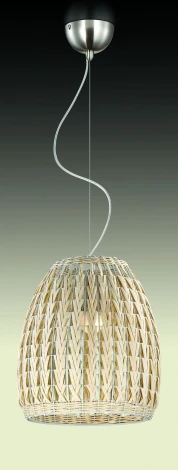Подвесной светильник Odeon Light Keni 2492/1