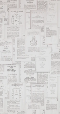 Обои виниловые BN International Riviera Maison BN 18261 10,05 x 0,53 м