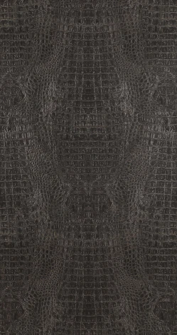 Обои виниловые BN International Curious BN 17950 10,05 x 0,53 м