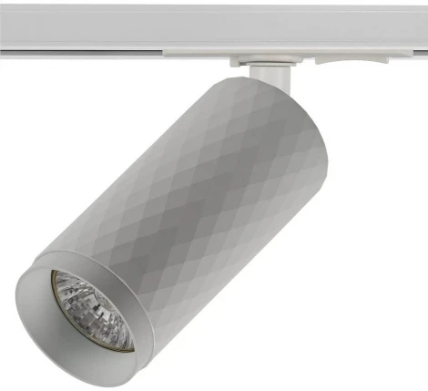 Трековый светильник Imex Rodeo IL.0010.0007 WH (220V, круглые)