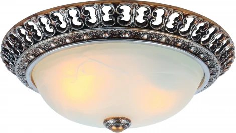 Потолочный светильник Arte Lamp Torta A7132PL-2SA