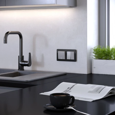 Рамка на 2 поста Acrylic (черный) Werkel W0022708 (a059317)