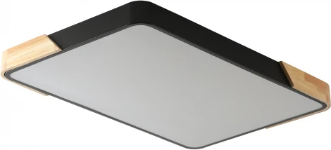 Потолочный светильник Zortes Alberro ZRS.01244.60 (LED, 220V)