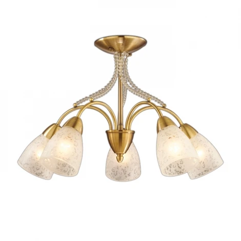 Потолочная люстра Odeon Light Mariot 2541/5C