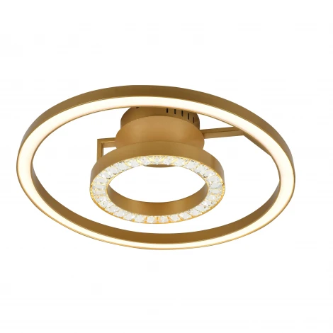 Потолочная люстра Favourite Sanori 2546-2U