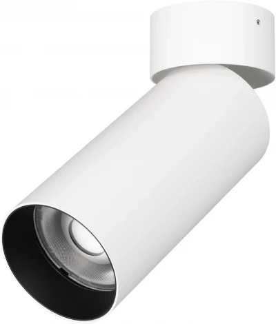 Накладной точечный светильник SP-GABI-SURFACE-FLAP-R60-12W Warm3000 (WH, 36 deg, 230V) (Arlight, IP40 Металл) 049928 (LED)