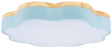 Потолочный светильник светодиодный для детской Loft It Axel 10225/36 Blue (220V, тучи)