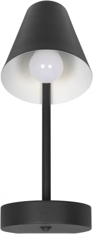 Настенные светильники Loft It Shelf 10216/1W Black (220V, выключатель)