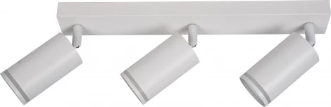 Потолочный светильник спот Brizzi Aras BR08091