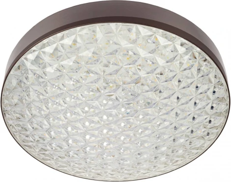 Настенно-потолочный светильник Мелодия Света CW1L 000024759