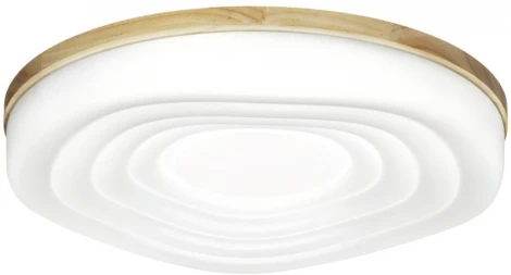 Настенно-потолочный Sonex Fass Wood 7674/DL PALE белый/натуральное дерево LED 48Вт 3000-6000К D388 IP43 пульт ДУ (220V, круглые)