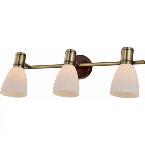 Спот Toplight Sharyl TL3720Y-03BB