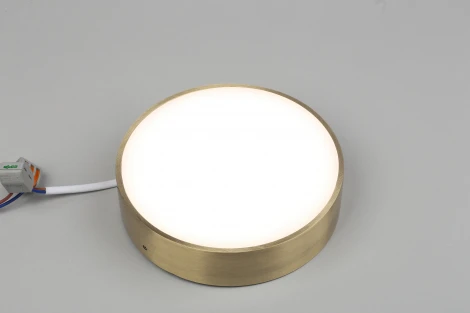 Потолочный светильник круглый Aployt Evon APL.0114.29.18 (LED, 220V, круглые)