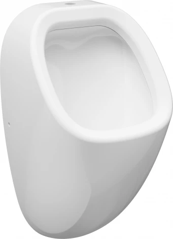 Писсуар AM.PM Spirit V2.0 C707006WP подвесной, с внешним подводом воды, с декором