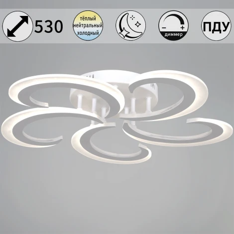 Потолочная люстра светодиодная на штанге с пультом с регулировкой цветовой температуры, яркости и с ночным режимом Reluce 05090-0.3-05 WH