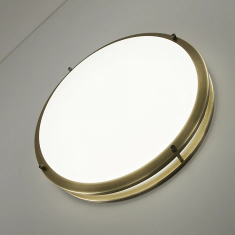 Настенно-потолочный светильник Citilux Бостон CL709503N